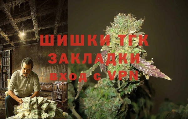 прущая мука Ельня
