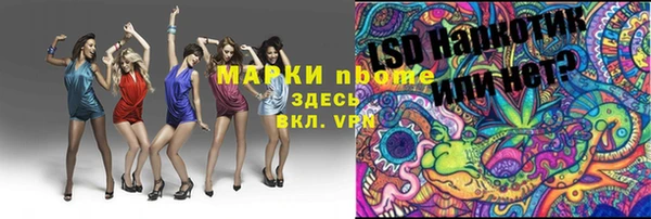 МДПВ Елабуга