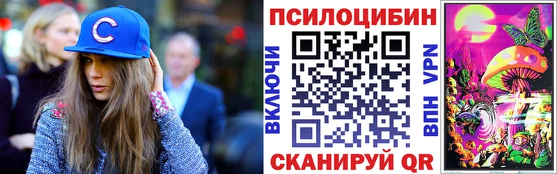 Галлюциногенные грибы Psilocybe  Красноуфимск 